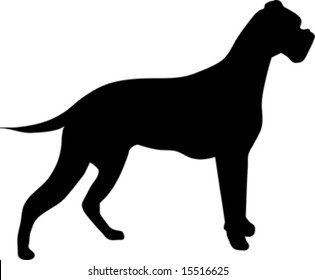 silhouettes of dog