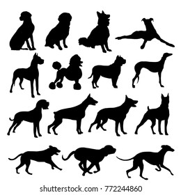 silhouettes of dogs
