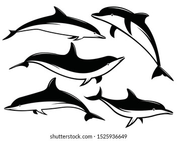 Silhouettes of dolphins Set. Monochrome illustration of stylized dolphins. isolated on white background