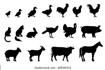 Silhouettes of domestic birds and animals. Vector illustration isolated on white background.