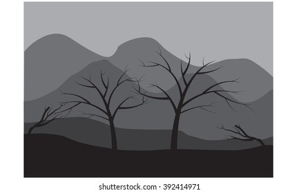 Silhouettes of dry tree