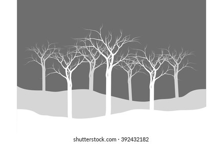 Silhouettes of dry tree forest