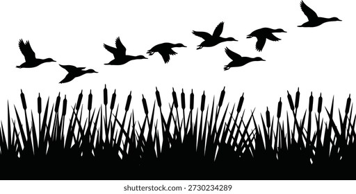 Silhouettes of ducks soaring through the sky above a dense stand of reeds, evoking a sense of wildlife and natural habitats.