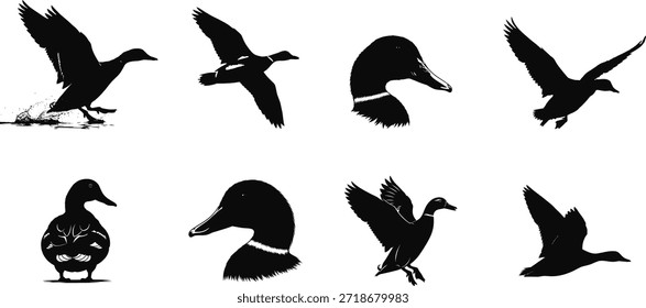 Silhouettes of ducks in various flying and standing positions
