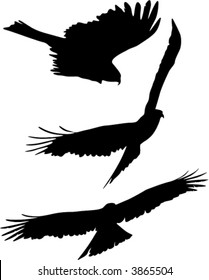 Silhouettes of eagle flight