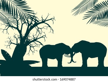 Silhouettes of elefants 