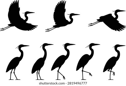 Silhouettes of elegant heron birds in flight and walking poses, wildlife motion study, long-legged graceful avian anatomy illustration