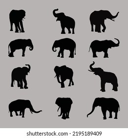 Silhouettes de elefante: envase diferente de siluetas de elefantes, silueta diferente de elefantes