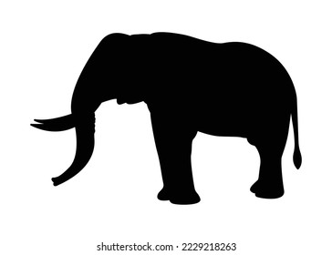 Silhouettes elephant walking, graphics design vector outline Illustration isolated on white background