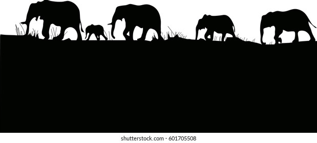  silhouettes  elephants cross africa on black isolated.
