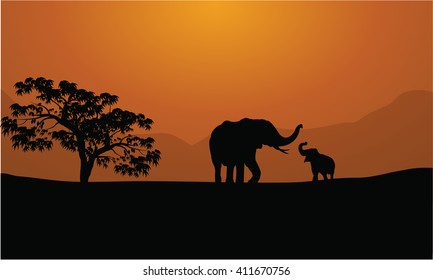 Silhouettes of elephants on mountain backgrounds  at sunset