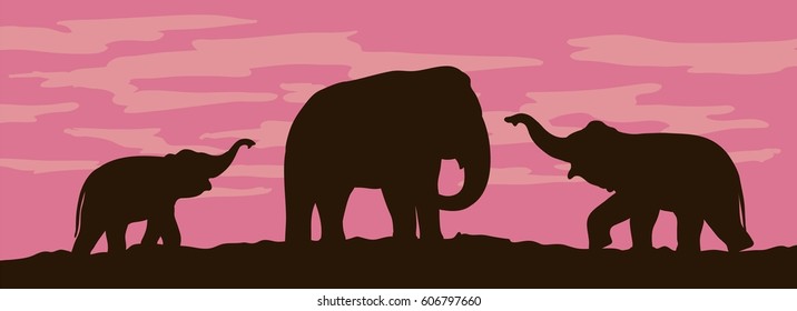 Silhouettes of elephants on sunset background. Vector illustration