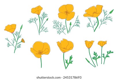 silhouettes of Eschscholzia flowers. California poppy - vector set of golden poppy