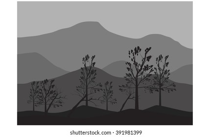 Silhouettes of fallen tree