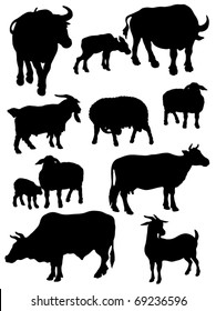 Silhouettes of farm animals