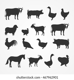 Silhouettes of farm animals on the white background. Vector.