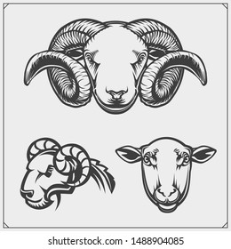 Silhouettes farm animals - sheep and ram. Template for meat market, store, market and packaging.