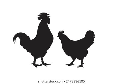 Silhouettes of female and male chickens. Beautiful chicken. Vector illustration