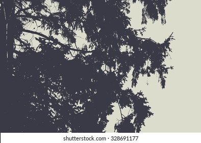 Silhouettes of fir tree. detailed vector illustration