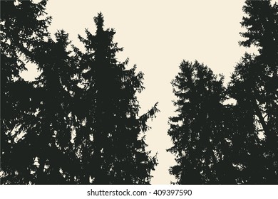 Silhouettes of fir trees. detailed vector illustration