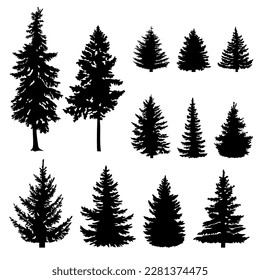 Silhouettes of firs and pines. Vector illustration