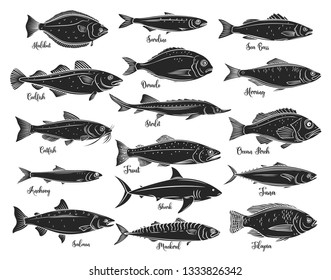 Pescado de siluetas. Mariscos aislados con dorada, caballa, atún o esterlina, bagre, bacalao y fletán. Tilapia, perca oceánica, sardina, anchoa, lubina y dorado. Estilo retro, ilustración vectorial