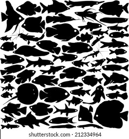 Silhouettes of fishes