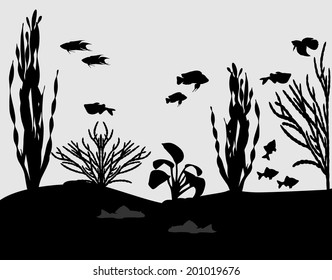 Silhouettes of fishes and algae in aquarium