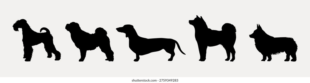 Silhouettes of five different dog breeds in a row, showcasing varied shapes and sizes against a plain background. Each silhouette highlights distinct features. Vector set.