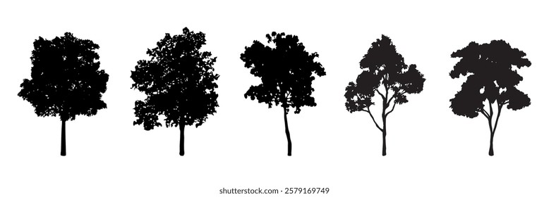 Silhouettes of five trees in various shapes. Tree silhouettes showcase diverse forms. Black tree silhouettes highlight unique outlines. Nature in silhouette form. Silhouette forest elements, vectors.