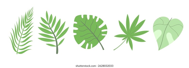 Silhouettes of five unique green leaves with detailed vein structures. Vector foliage set on white background.