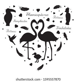 Silhouettes of flamingos, hummingbirds, toucans, parrot with lettering. Tropical birds and feathers in the form of a heart. Print on clothes, sticker, postcard, congratulation, for Valentine's Day. 
