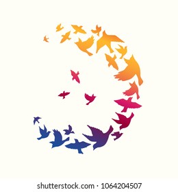 Silhouettes of a flock of birds. Vector illustration. Simple background.