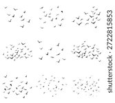 Silhouettes of a flock of flying birds. Large set. Black on a white background. Includes swallows, pigeons, and turtle doves in a minimalist style.