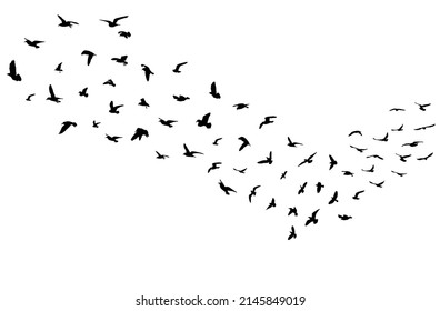 Silhouettes of flock of flying birds, migration. Vector illustration