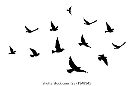 Silhouettes of flocks of birds flying freely in the sky