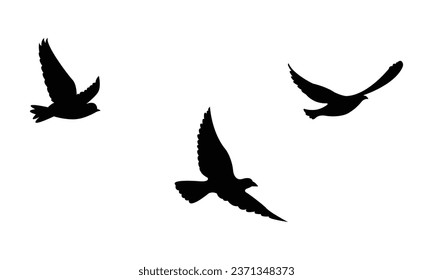 Silhouettes of flocks of birds flying freely in the sky