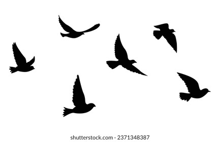 Silhouettes of flocks of birds flying freely in the sky