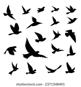 Silhouettes of flocks of birds flying freely in the sky