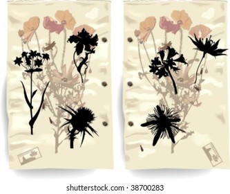 Silhouettes, flowers 2, vector illustration