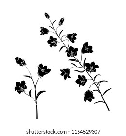 Silhouettes of flowers campanula, wild flowers, branch, vector, black  color, isolated on white background
