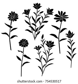 Silhouettes of flowers chamomile, cornflower, carnation, lily, blossom, vector, black color, isolated on white background