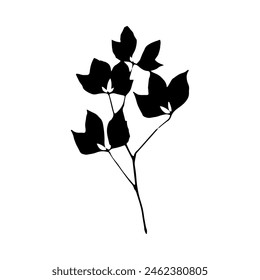 Silhouettes of Flowers . Contemporary aesthetic vector element for logo, decoration, print, cover, wallpaper.