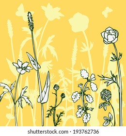 Silhouettes  of flowers and grass with butterflies, vector illustration