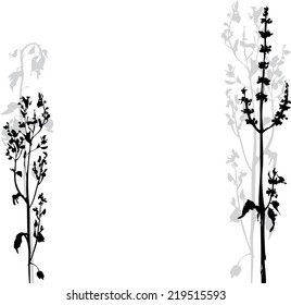 Silhouettes of flowers and grass, hand drawn vector illustration