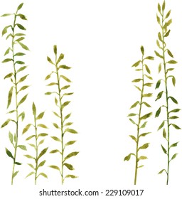 Silhouettes of flowers and grass, hand drawn vector illustration