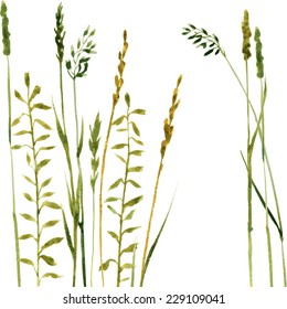 Silhouettes of flowers and grass, hand drawn vector illustration