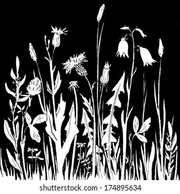 Silhouettes  of flowers and grass at night, vector illustration