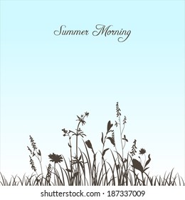silhouettes  of flowers and grass and rising sun, vector illustration