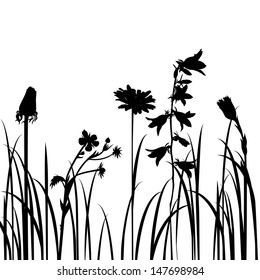 Silhouettes  of flowers and grass, vector illustration